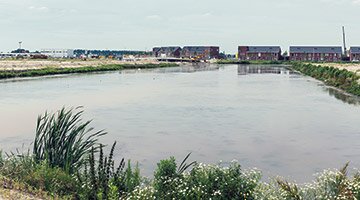 Klimaatrobuuste gebiedsontwikkeling